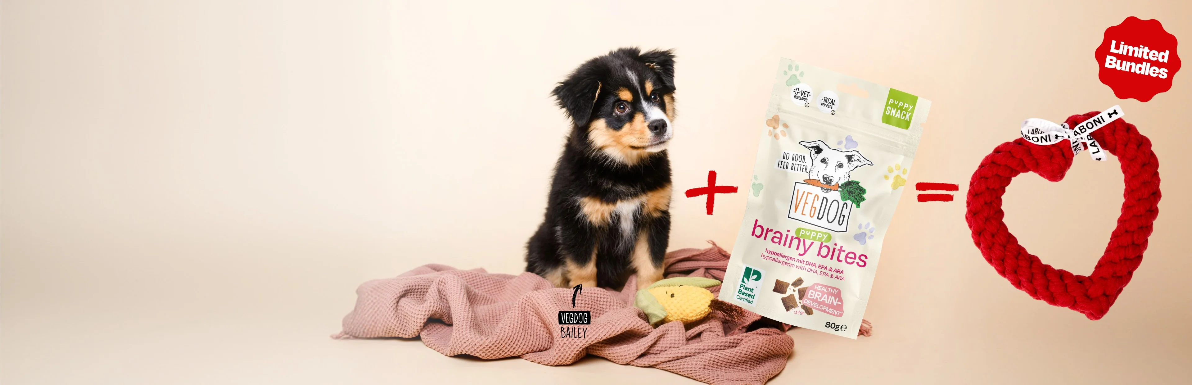 Gesunde Vielfalt, rein pflanzlich serviert